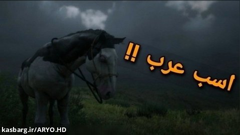 مکان اسب عرب دو رنگ در ردد ردمپشن ۲