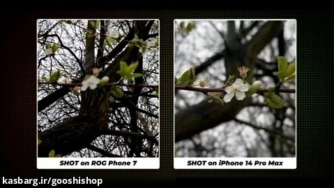 برسی و مقایسه دوربین گوشی iPhone 14 Pro Max با ASUS ROG Phone 7 Ultimate