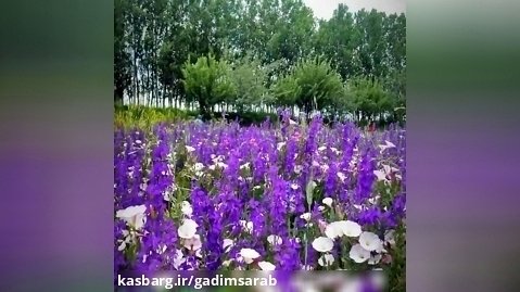 طبیعت زیبای بهاری در سراب . آذربایجان