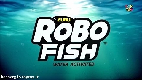 ماهی کوچولوی رباتیک روبو فیش توی توی toytoy.ir