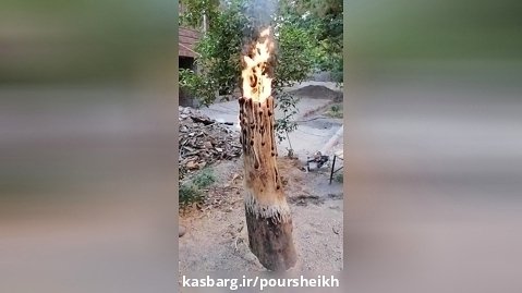 شمع چوبی Poursheikh