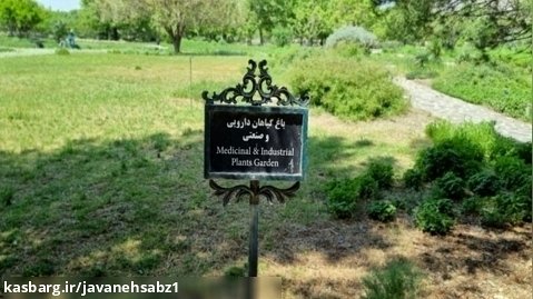 تور باغ گیاهان دارویی - باغ گیاه شناسی ملی ایران - پارت 2