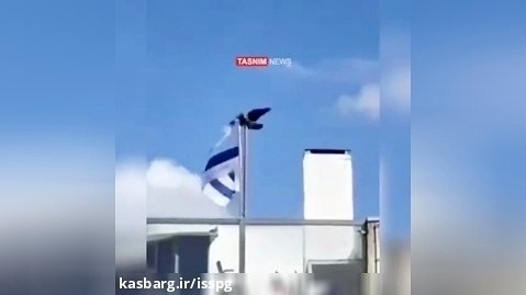 ببینید | یک کلاغ پرچم اسرائیل را به زیر کشید!