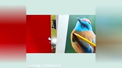 آموزش نقاشی پرنده قسمت سوم