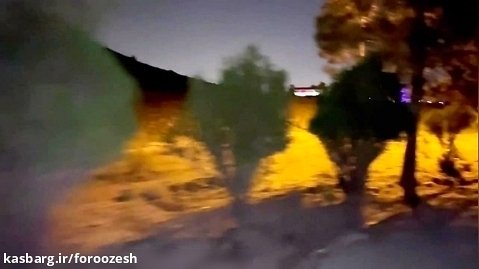 خارپشت در اصفهان تصویر بردار فرشاد فروزش