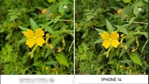 بررسی و مقایسه دوربین گوشی Google Pixel 7A با iPhone 14