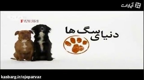 دنیای سگ ها (پروژه ای برای نابودی خانواده ایرانی)