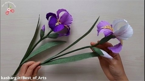 درست کردن گل زنبق زیبا با کاغذ کشی