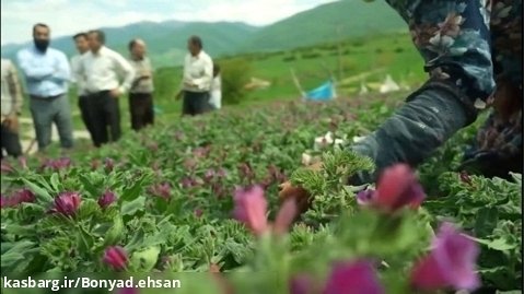 کمک به اقتصاد خانواده های روستایی با کشت گیاهان دارویی