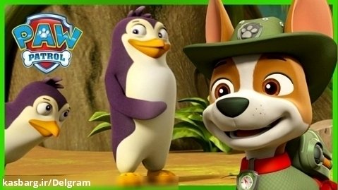 انیمیشن سگهای نگهبان - کارتون سگ های نگهبان - پیدا کردن پنگوئن در جنگل