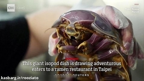 سرو خرخاکی های عظیم الجثه دریایی در رستورانی در تایوان
