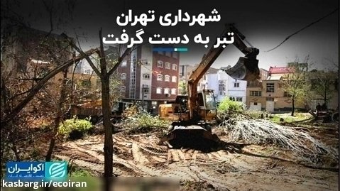 شهرداری تهران تبر به دست گرفت