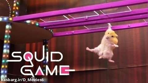 برگذاری فصل دوم سریال اسکویید گیم Squid Game با شرکت همستر های بامزه