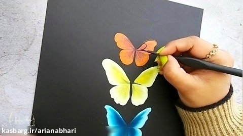 چگونگی نقاشی و طراحی پروانه حرفه ای با بال های زیبا