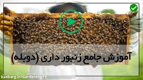 پرورش زنبور عسل در ایران-میکروسکوپی تشریح انگل نایی