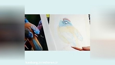 نقاشی پرنده قسمت پنحم