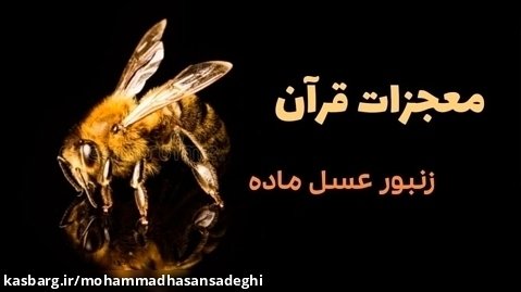 معجزات قرآن / اعجاز قرآن / زنبور عسل ماده