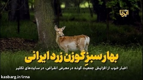 بهار سبز گوزن زرد ایرانی