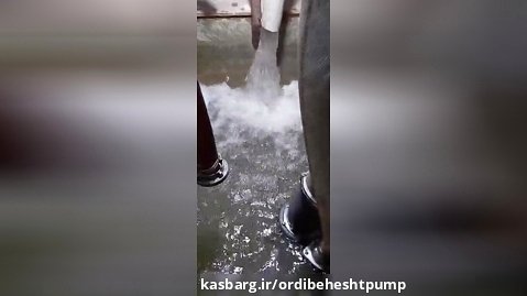تست آبدهی لجنکش ایرانی ۱۵ متری ۳" اینچ تکفاز تمام چدنی زنیت پمپ