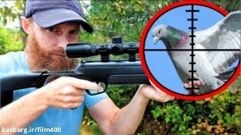 شکار کبوتر با تفنگ دید درشب دوربین دار