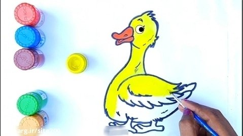 آموزش نقاشی پرندگان | هنر نقاشی بانوان | آموزش نقاشی کودکان