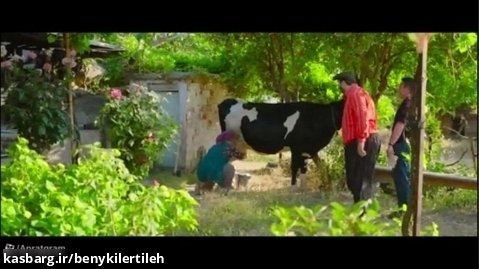 سینمایی رجب ایویدیک 7 دوبله فارسی طنز و خنده دار