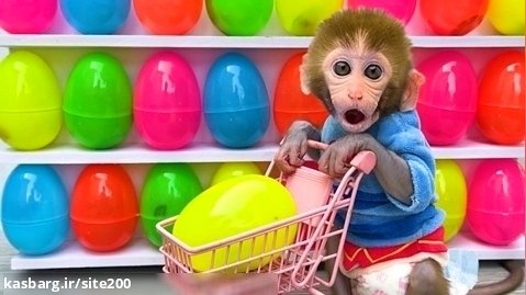 سرگرمی بچه میمون - بازی با توله سگ - سرگرمی کودک - بازی حیوانات خانگی