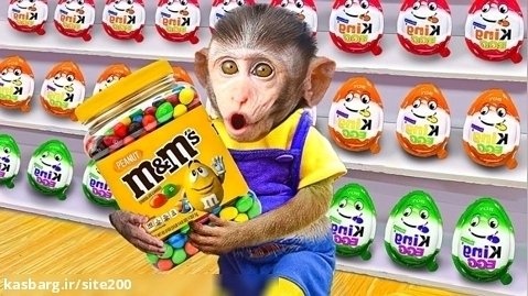 بچه میمون بازیگوش - کلیپ حیوانات خانگی - خرید ضد عفونی کننده دست