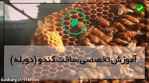 آموزش ساخت کندوی زنبور-(تولید ملکه ی زنبور به روش طبیعی)