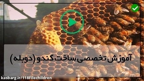 آموزش زنبورداری رایگان-(تولید ملکه ی زنبور به روش طبیعی)