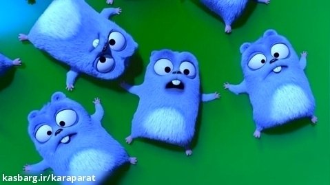 برنامه کودک خرسی و موش های صحرایی / انیمیشن گریزی و موش کوچولو ها