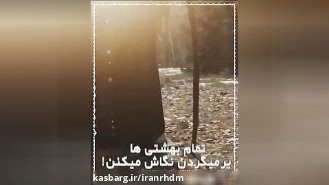 برای تشکیل حکومت امام زمان حتما امتحان می شیم، حتی سخت تر از کوفی ها...