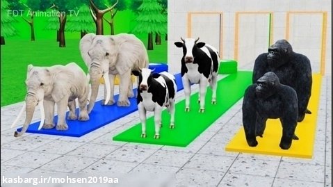 کارتون حیوانات رنگی - برنامه کودک - سرگرمی با حیوانات - کودک سرگرمی تفریحی