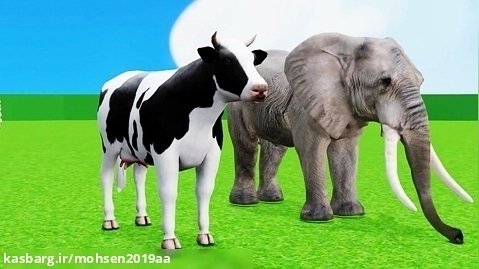 کارتون حیوانات - برنامه کودک - سرگرمی با حیوانات - کودک سرگرمی تفریحی