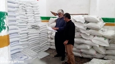 عملیات پایش و موجود برداری کود در شرکت خدمات حمایتی کشاورزی استان مازندران
